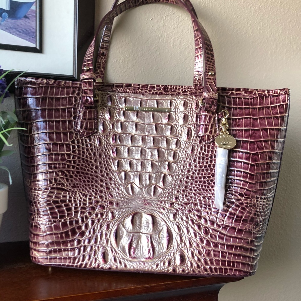 NWT Brahmin